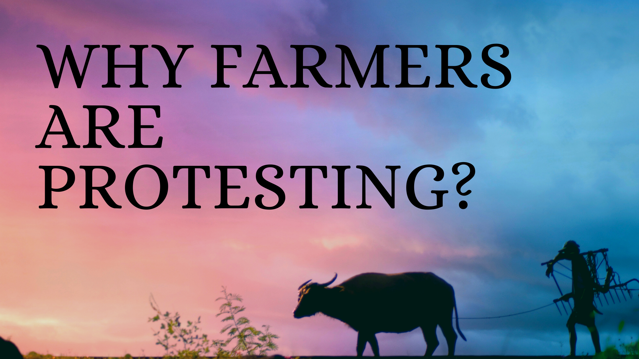 Why Farmers Are Protesting